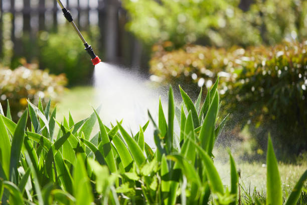 24/7 Emergency Wasp Removal experts in Burke, VA
