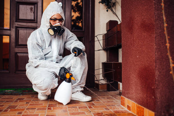 Reliable Wasp Removal contractor in Burke, VA by Show Me Pest Control