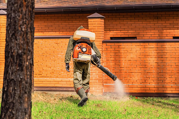 Top rated local Wasp Removal specialists in Burke, VA